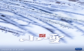 【二十四节气——小雪】花雪随风不厌看